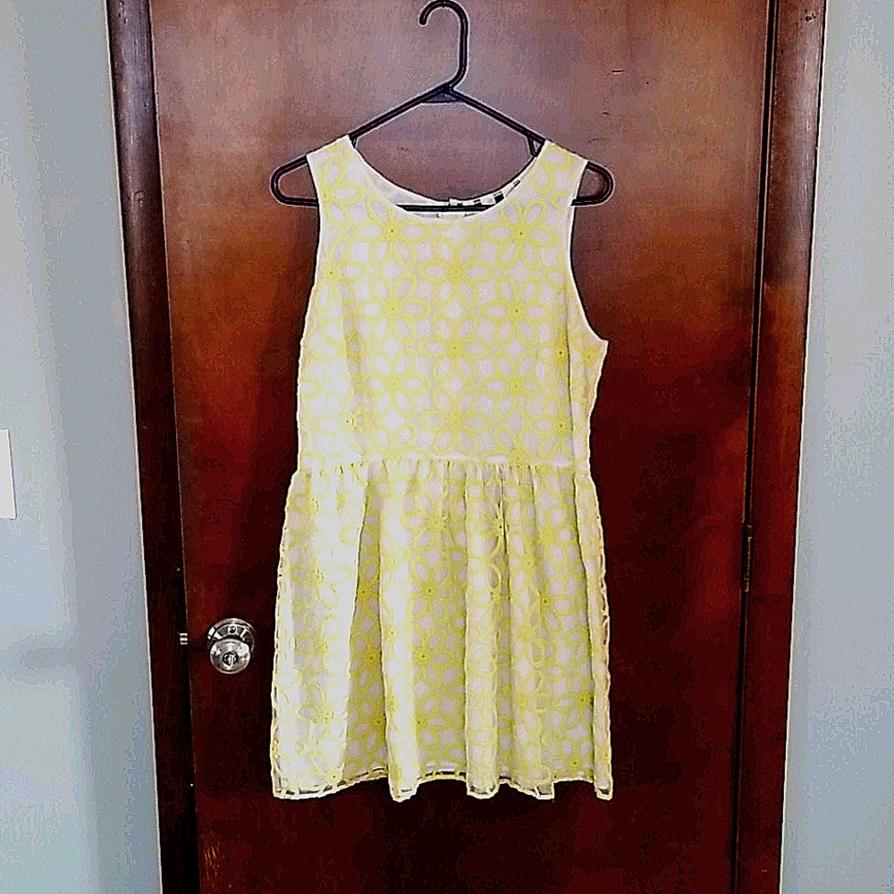 Daisy embroidered chiffon summer dress